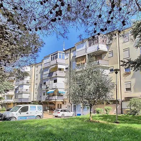 Apartament Neva House With *